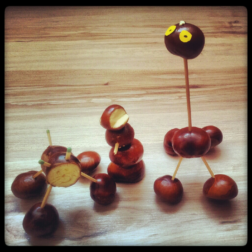 We're going on a conker hunt! A list of autumn activities by Anna Musielak